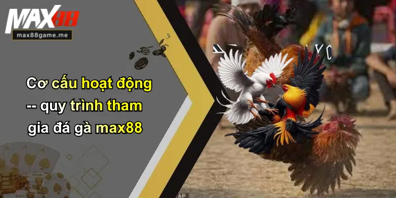 Cơ cấu hoạt động – quy trình tham gia đá gà max88
