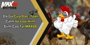 Đá Gà Cựa Dao