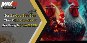 Đá gà cựa sắt