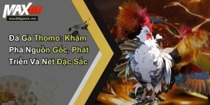 Đá Gà Thomo