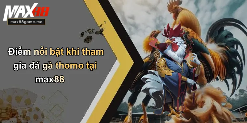 Điểm nổi bật khi tham gia đá gà thomo tại max88
