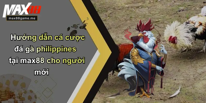 Hướng dẫn cá cược đá gà philippines tại max88 cho người mới