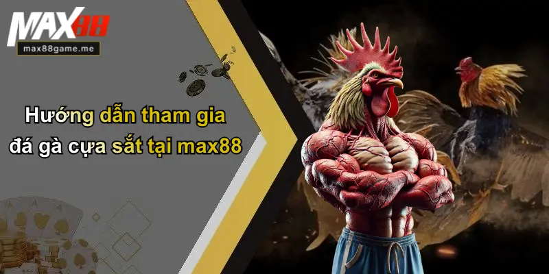 Hướng dẫn tham gia đá gà cựa sắt tại max88