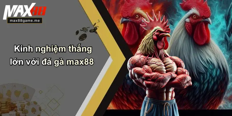 Kinh nghiệm thắng lớn với đá gà max88