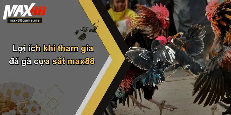 Lợi ích khi tham gia đá gà cựa sắt max88