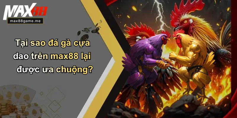 Tại sao đá gà cựa dao trên max88 lại được ưa chuộng?