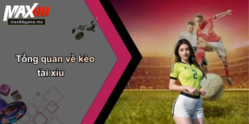 Tổng quan về kèo tài xỉu