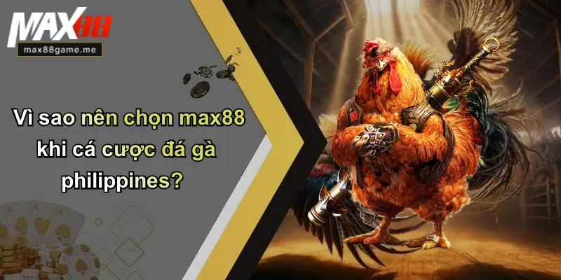 Vì sao nên chọn max88 khi cá cược đá gà philippines?
